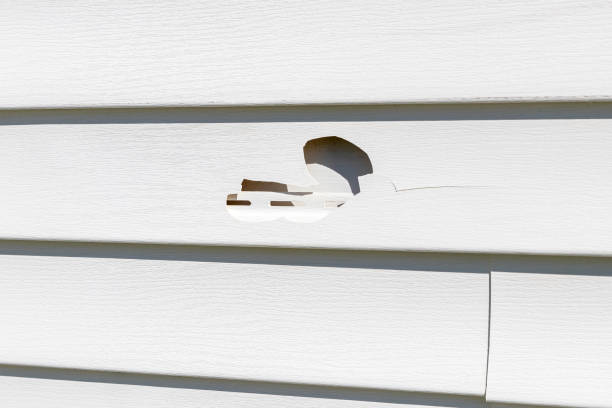 Best Custom Siding Design  in Fort Irwin, CA